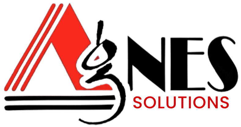cropped-Agnes-Solutions.png